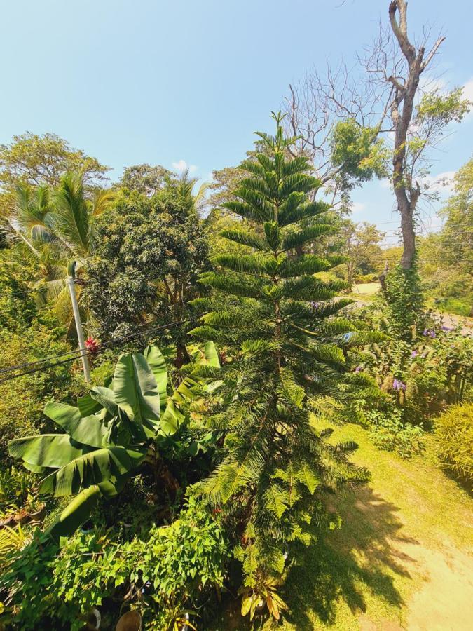 Peacock Villa Resort Udawalawe Eksteriør billede